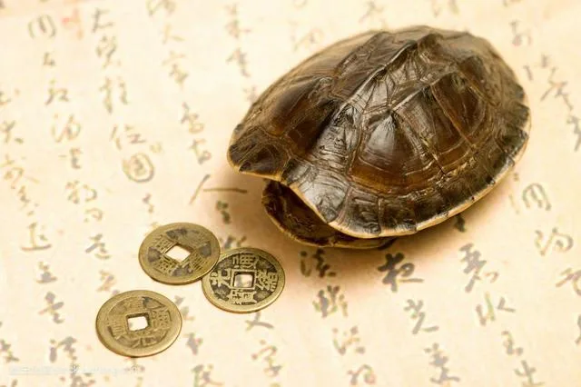 文王卦課程